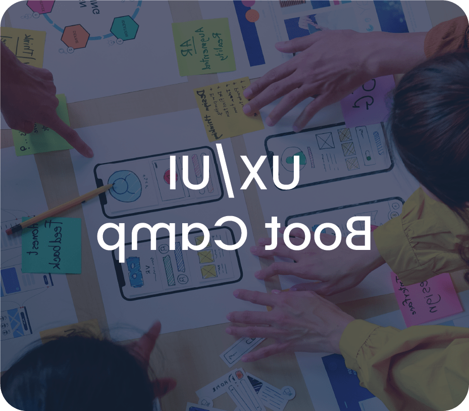 在线博彩 UX/UI Boot Camps